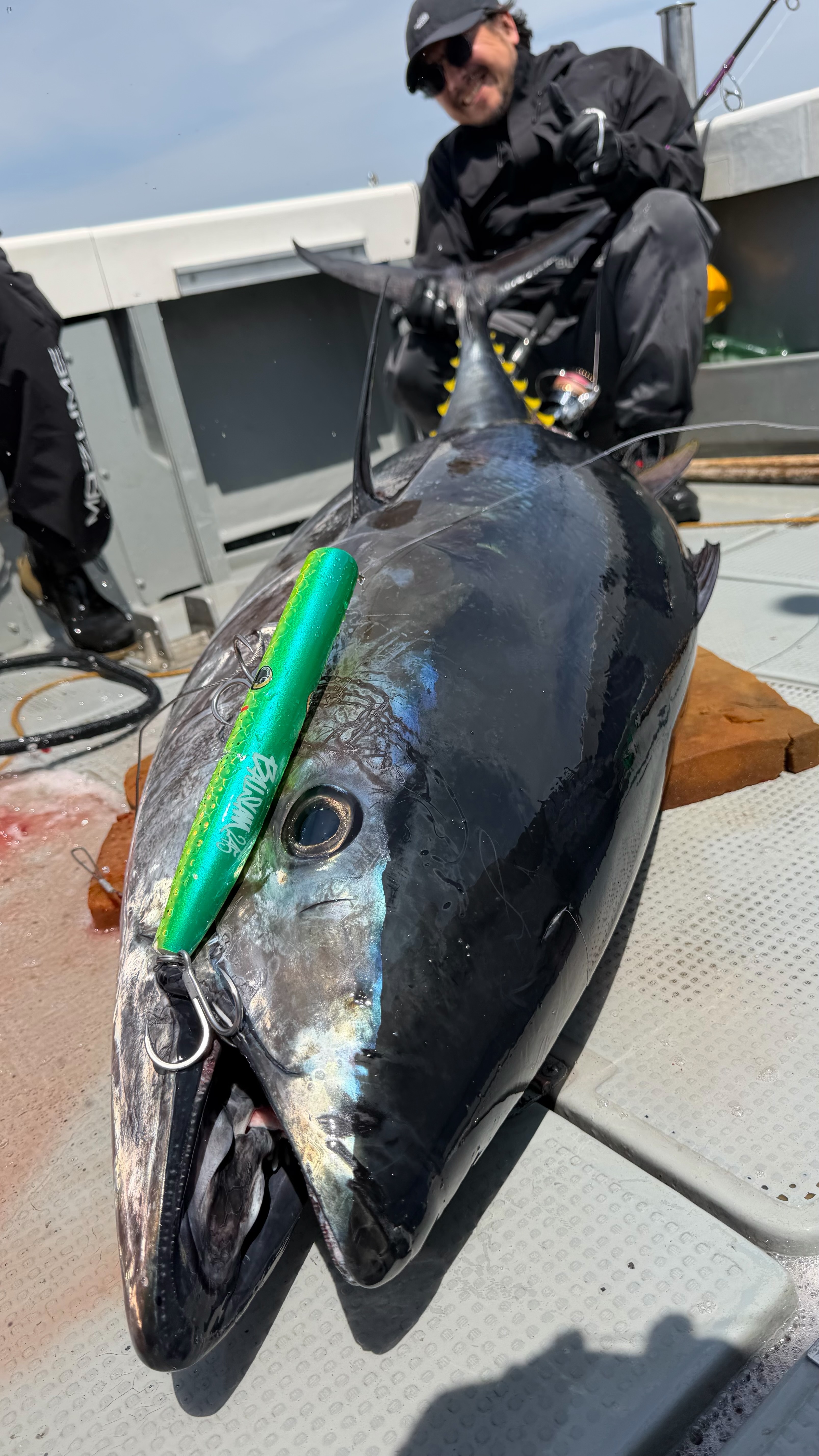 A bluefin tuna with BALSAM in its mouth — day game