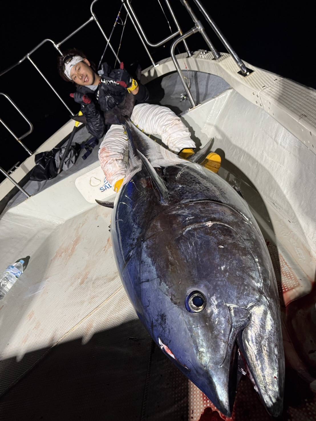 A bluefin tuna landed at night