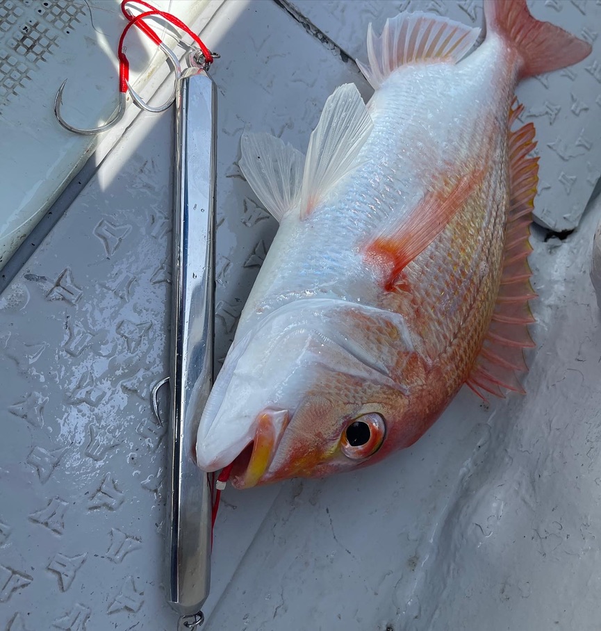 An angler holding a yellowtail amberjack caught on the ISAJIG