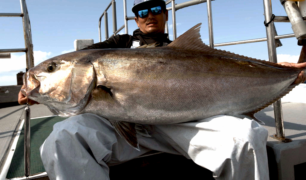 An angler holding a large amberjack landed on the ISAJIG