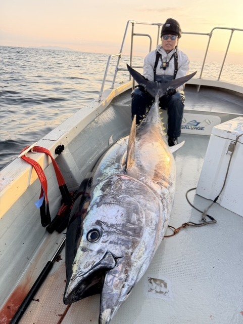 夕暮れのデッキでクロマグロと